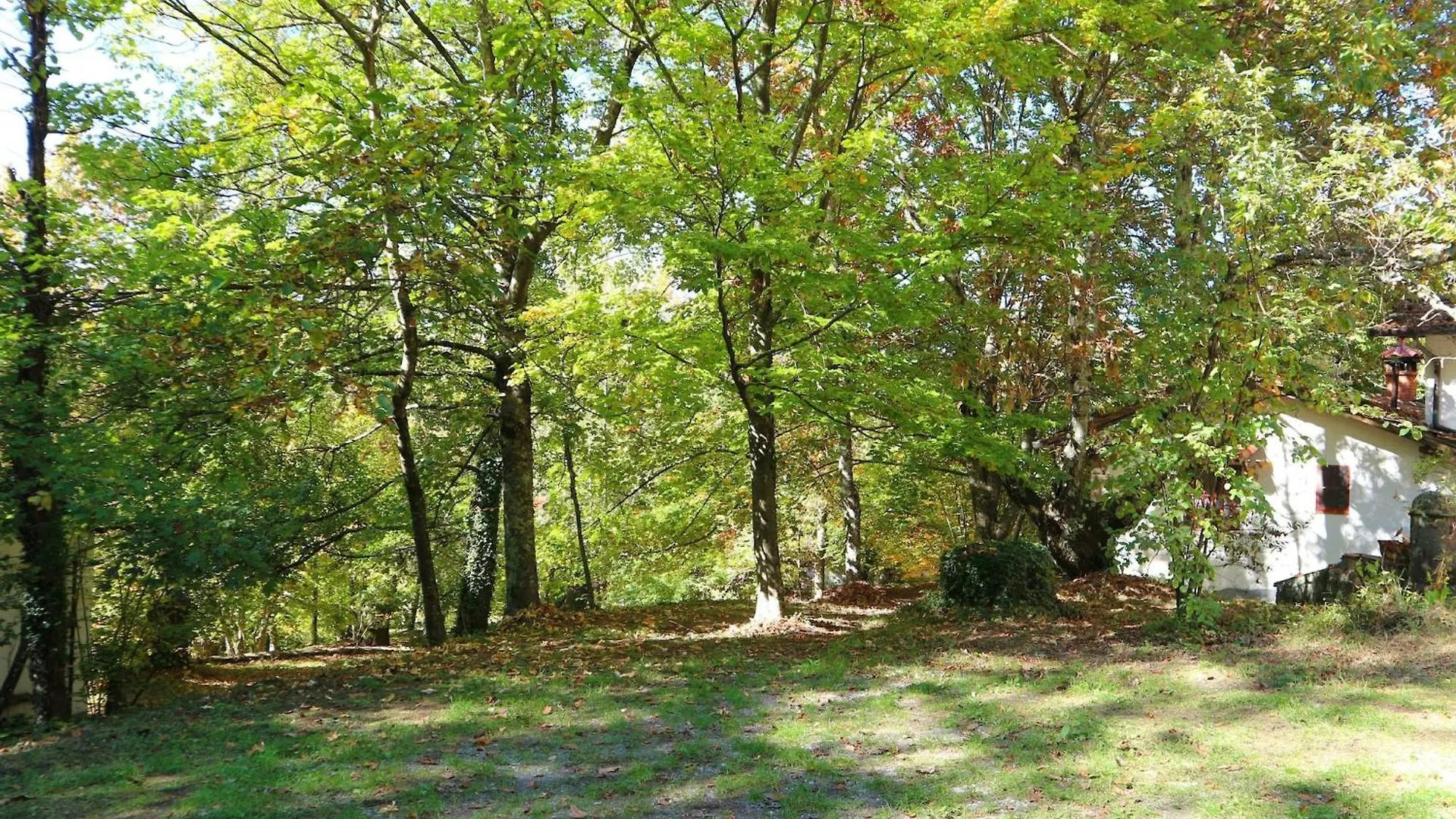 Holiday Home With Garden And Shared Pool Migliorini Italy