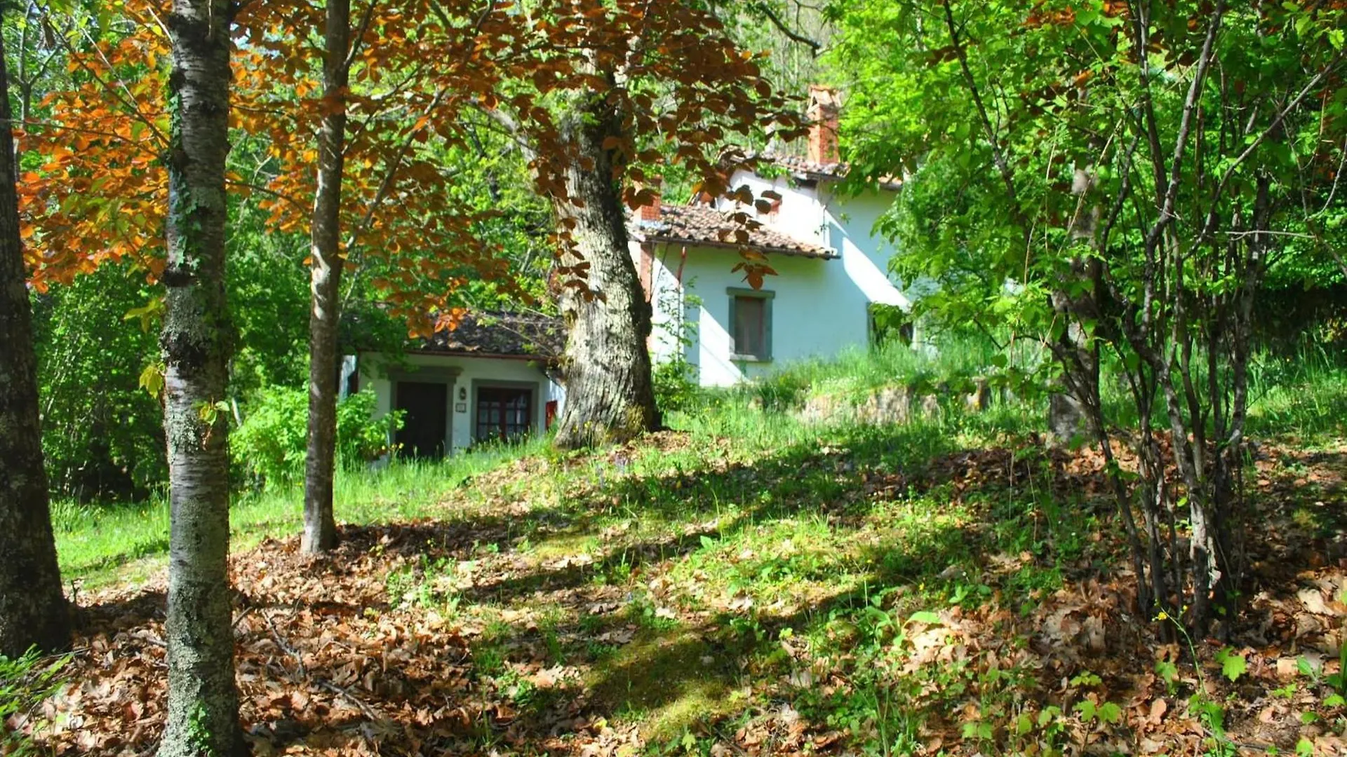 Holiday Home With Garden And Shared Pool Migliorini 0*,